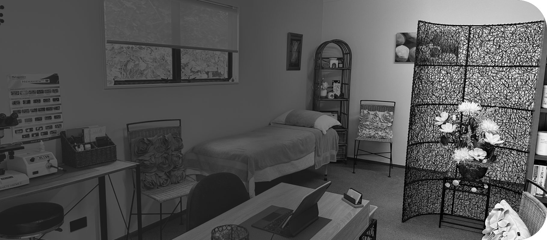 Diana Burgess Office